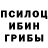 Псилоцибиновые грибы GOLDEN TEACHER Justin Pitchford