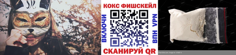 Cocaine FishScale  магазин продажи наркотиков  Чита 