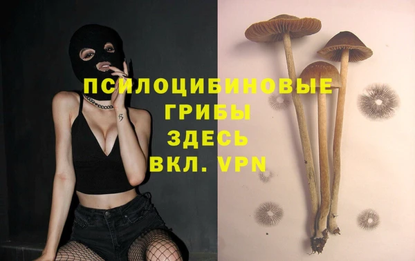 прущие грибы Абдулино