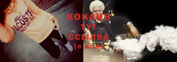 прущие грибы Абдулино