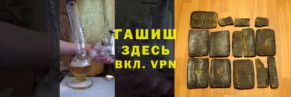 хмурый Абаза