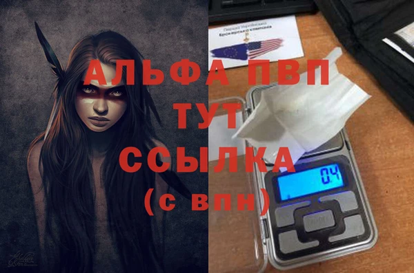 прущие грибы Абдулино