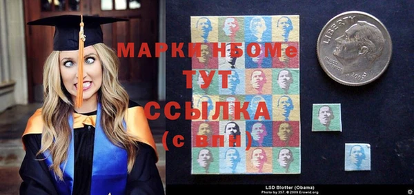 хмурый Абаза