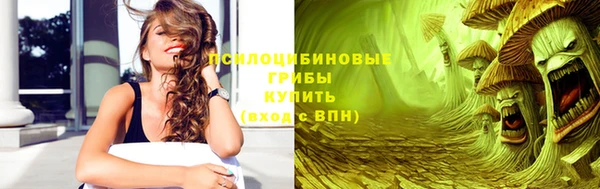 хмурый Абаза