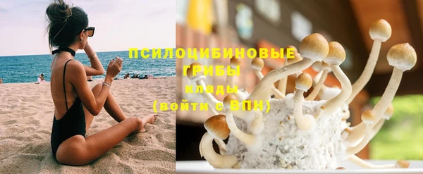 прущие грибы Абдулино