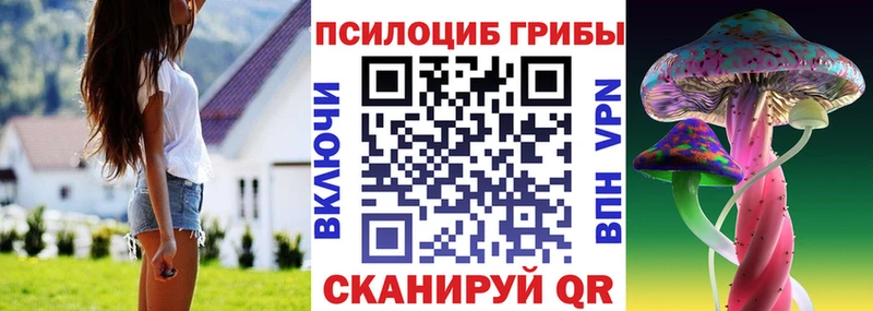 Псилоцибиновые грибы MAGIC MUSHROOMS  hydra ссылки  мориарти какой сайт  Чита 